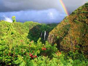 Hawaii Waterfall