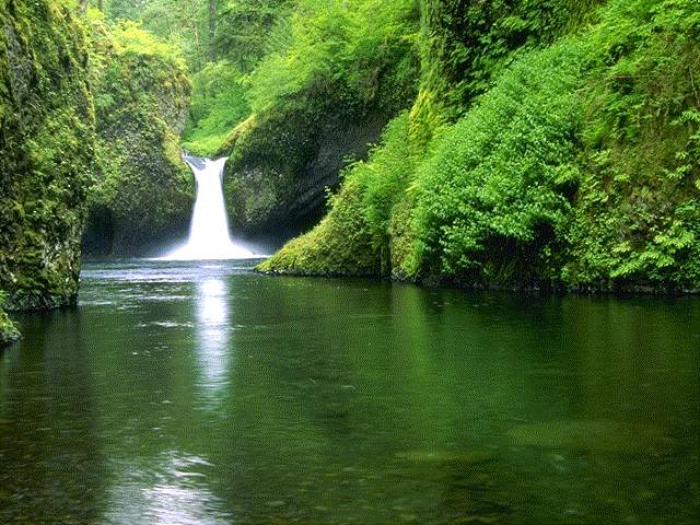 Green Waterfall