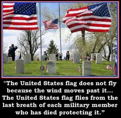 Memorial Day US Flag Flies