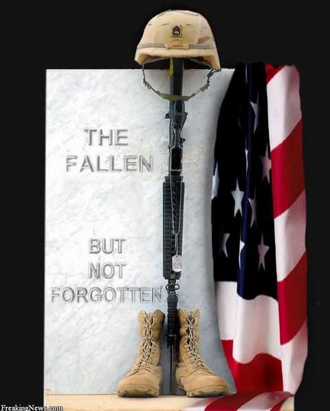 Memorial Day Fallen but not Forgotten