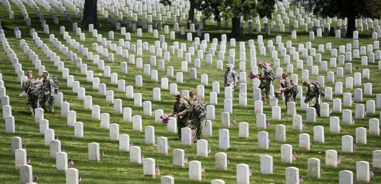 Memorial Day Flags In Arlington