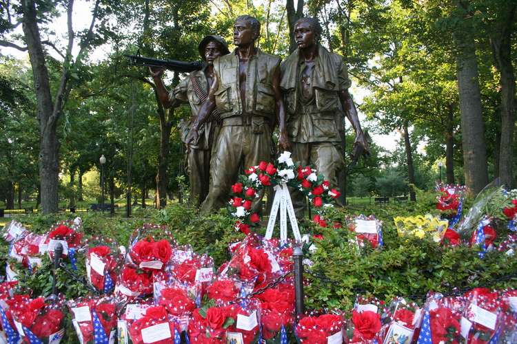 Memorial Day Vietnam Poppys