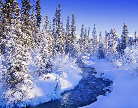 Winter-Canada
